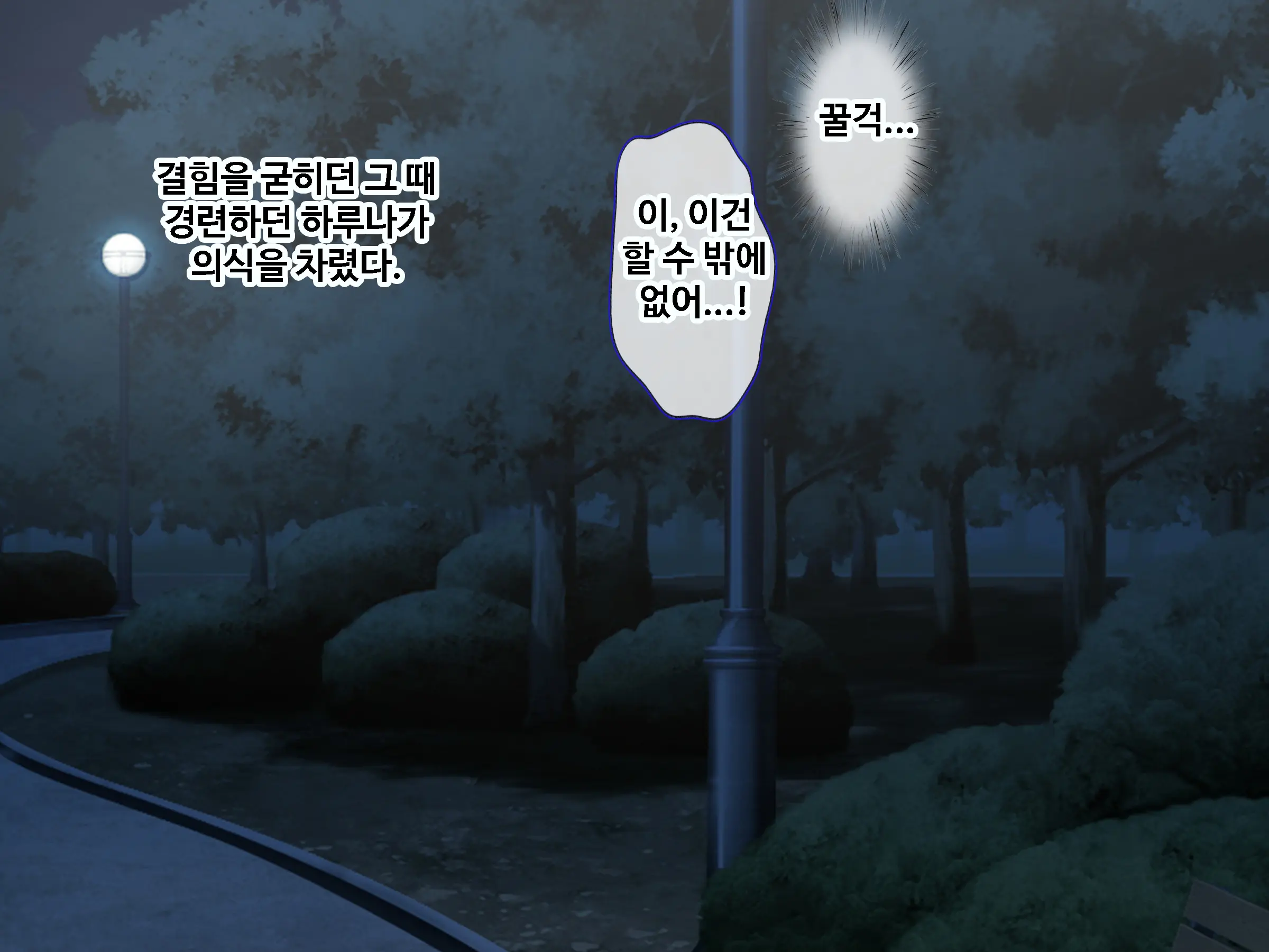 Ore To Taishouteki Na Jinsei O Ayumu Mijika Na Futari No Yowami O Nigiri W Henshin Heroine Ni Sukinadake Tanetsuke Nakadashi Suru Hibi | 나와 대조적인 인생을 걷는 두사람의 약점을 쥐고 변신히로인을 원하는만큼 씨받이 질내사정하는 나날